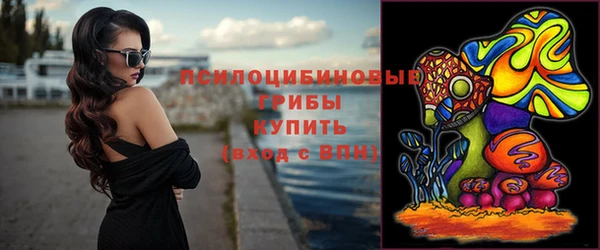 ешки Аркадак