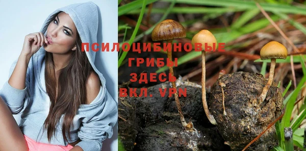 прущая мука Арсеньев