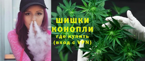 ешки Аркадак