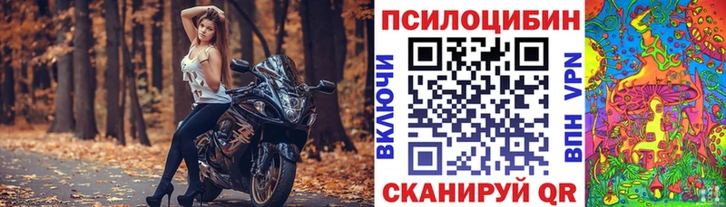 купить наркотик  Саянск  Галлюциногенные грибы GOLDEN TEACHER 